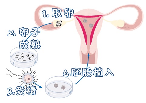 好孕故事